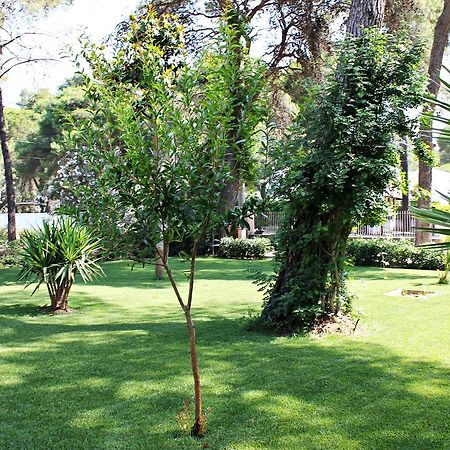 Il Melograno B&B Castellaneta Marina Buitenkant foto
